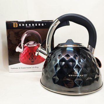 Чайник из нержавеющей стали Edenberg EB-8833 со свистком с индукционным дном 3л Black 778111 фото